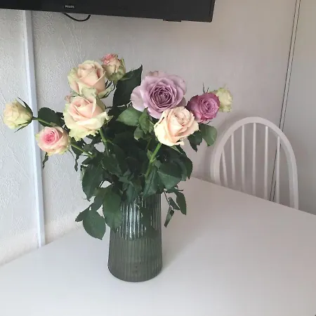 Rosegarden Comfort