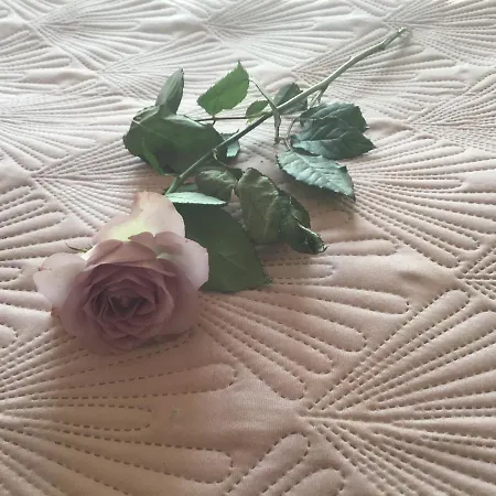 Rosegarden Comfort Couette-café Ærøskøbing